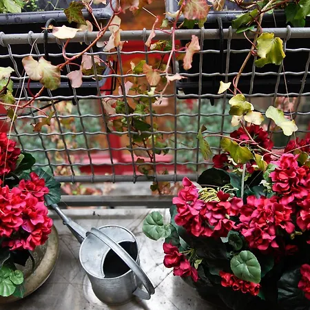 Le Passage Du Marais * פריז