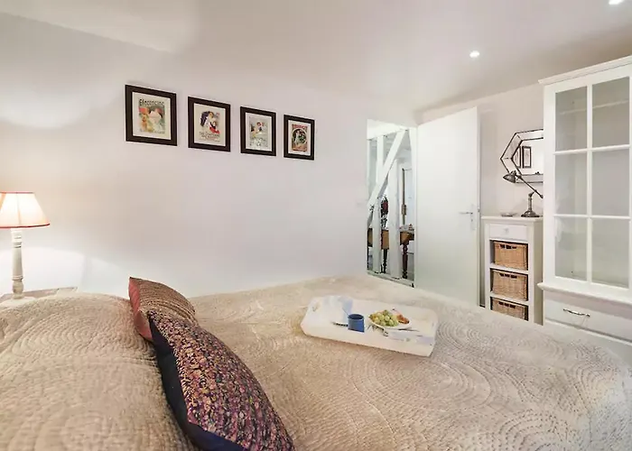 Le Passage Du Marais *